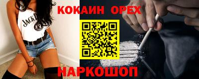 гашик Кулебаки
