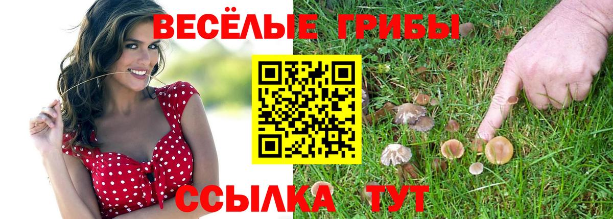 Галлюциногенные грибы Magic Shrooms Губкинский